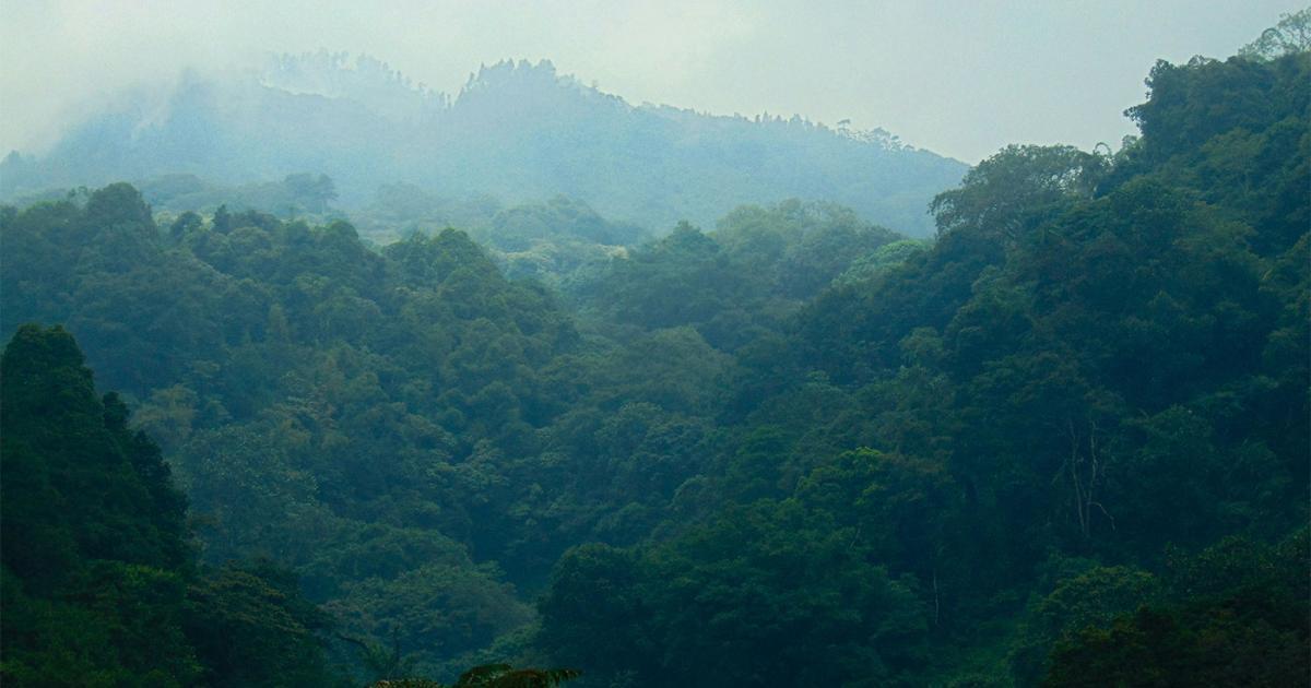 Howden Re Brazil releases Q1 Brazil climate report, detailing growing ...