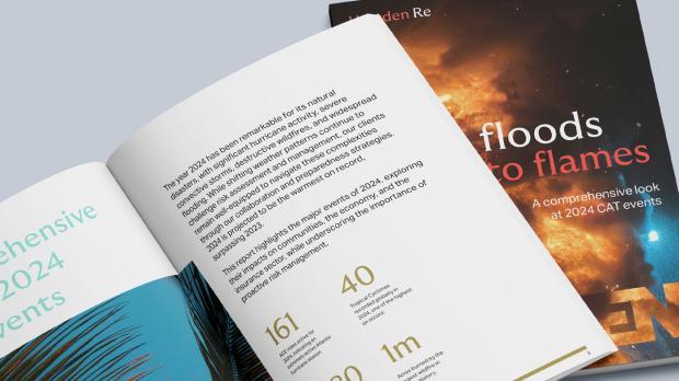floodsandflames-report
