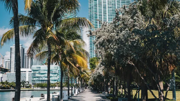 miami