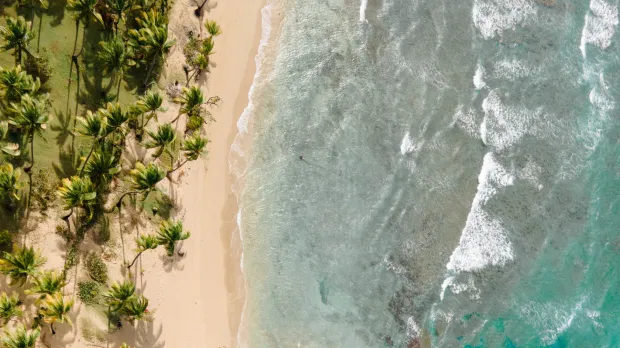 bermuda